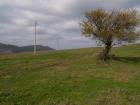 thumbs/pict0092.jpg
