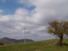 thumbs/pict0093.jpg