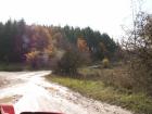 thumbs/pict0095.jpg
