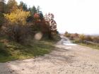 thumbs/pict0096.jpg