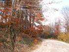 thumbs/pict0101.jpg