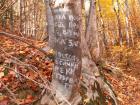 thumbs/pict0105.jpg