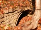 thumbs/pict0106.jpg