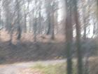 thumbs/pict0107.jpg