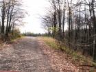 thumbs/pict0109.jpg