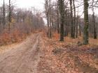 thumbs/pict0123.jpg