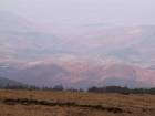 thumbs/pict0145.jpg
