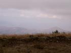 thumbs/pict0155.jpg