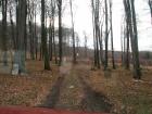 thumbs/pict0161.jpg