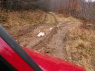 thumbs/pict0166.jpg