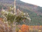 thumbs/pict0192.jpg