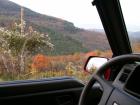 thumbs/pict0193.jpg