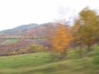thumbs/pict0194.jpg