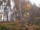 thumbs/pict0196.jpg