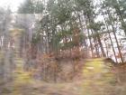 thumbs/pict0197.jpg
