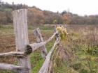 thumbs/pict0224.jpg