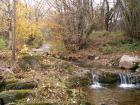 thumbs/pict0229.jpg