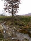 thumbs/pict0232.jpg