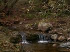 thumbs/pict0234.jpg