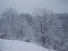 thumbs/pict0867.jpg