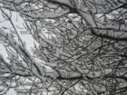 thumbs/pict0871.jpg