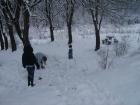 thumbs/pict0873.jpg
