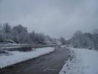 thumbs/pict0878.jpg