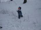 thumbs/pict0881.jpg