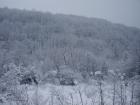 thumbs/pict0886.jpg