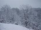 thumbs/pict0867.jpg