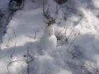 thumbs/pict0122.jpg