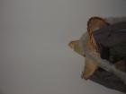 thumbs/pict0137.jpg
