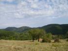 thumbs/pict0098.jpg