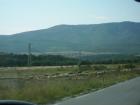 thumbs/pict0101.jpg