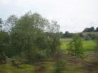 thumbs/pict0123.jpg