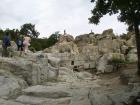 thumbs/pict0146.jpg