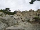 thumbs/pict0148.jpg