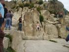 thumbs/pict0159.jpg