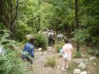thumbs/pict0178.jpg