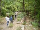 thumbs/pict0179.jpg