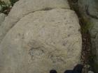 thumbs/pict0185.jpg