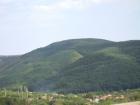 thumbs/pict0100.jpg
