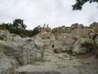 thumbs/pict0148.jpg