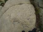 thumbs/pict0185.jpg