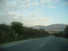 thumbs/pict0976.jpg