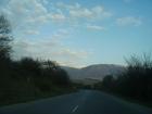 thumbs/pict0977.jpg