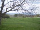 thumbs/pict0983.jpg
