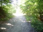 thumbs/pict0135.jpg