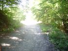 thumbs/pict0136.jpg