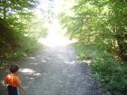 thumbs/pict0137.jpg